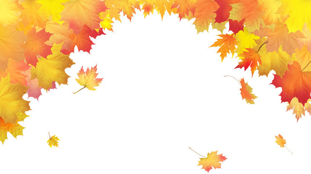 Falling leaves on white background, vector illustration.