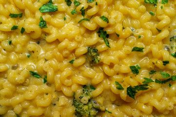 Mac N Cheese Cellentani