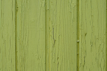 Pistachio-colored wood. Old wooden wall painted in pistachio color.