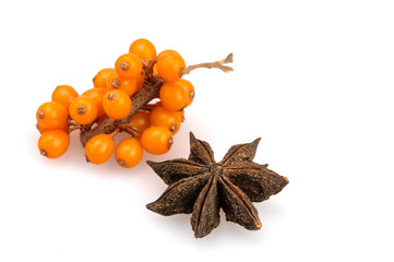 Star anise anise and branch of sea buckthorn on a white background.