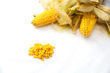 Raw corn with leafs and corn seeds on white background