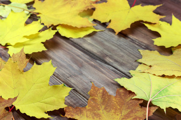 copy spaсe, autumn leaves on a wood background, yellow leaves on a wooden table