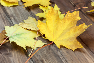 autumn leaves on a wood background, yellow leaves on a wooden table