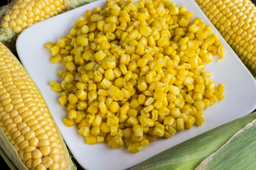 Boiled corn on a white plate. Ears of corn
