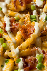 Homemade Bacon Cheddar Ranch Fries