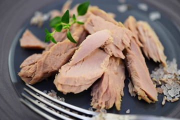 Thunfisch