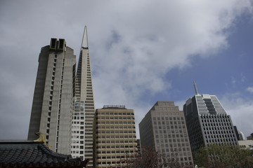 Fototapeta premium SAN FRANCISCO