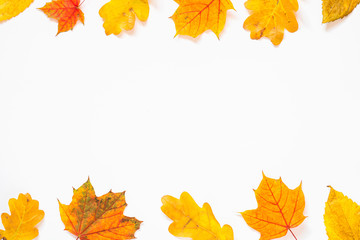 Naklejka na ściany i meble Autumn flat lay background with leaves on white.