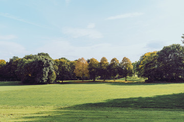 a park in autumn with yellow, green and red trees, green field on a sunny day, film effect