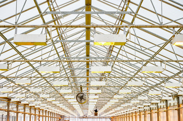 Fototapeta premium Ceiling of a greenhouse with lights