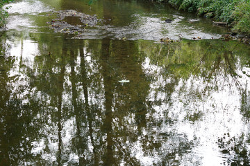 Obraz premium A Bavarian stream on the way to its mouth in the big river