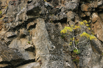 Pingvellir National Park, Iceland, Europe