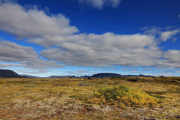 Autumn landscape in Pingvellir National Park, Iceland, Europe