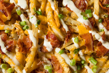 Homemade Bacon Cheddar Ranch Fries