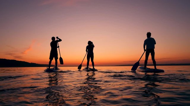 Sports people paddleboarding on sunset background.