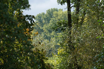 Fototapeta premium A Bavarian stream on the way to its mouth in the big river