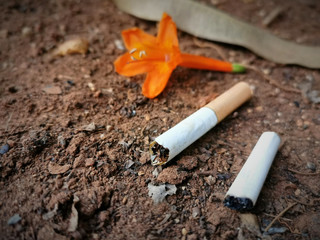 Cigarette butts on the ground with copy space on the left side. Concept for Effects of Littering on the Environment.