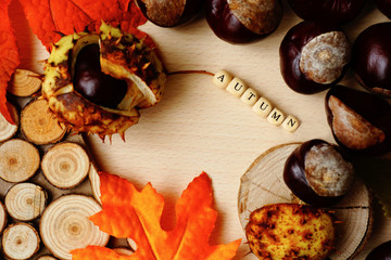 Wooden background with word autumn framed with fall products, wild chestnuts in shell and red leaves