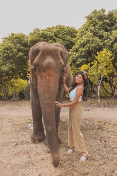 Gray elephant beside woman