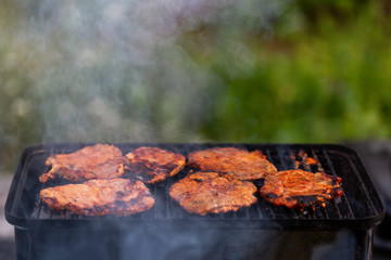 Picnic with grilled meat on the barbecue