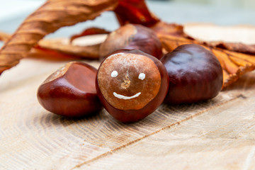 fresh french chestnut with a smile on a wooden tray with foliage