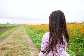 オレンジ色のコスモス畑と女の子