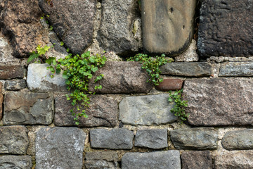 Stone wall