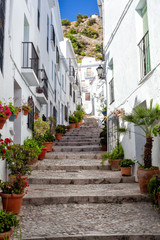 Small alley in a old town in Andalusia, Spain. Pavers and plants decorate the alley. Vertical photo