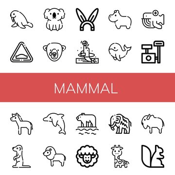 Set of mammal icons such as Walrus, Hump, Koala, Bear, Rabbit, Dolphin, Hippopotamus, Whale, Scratching post, Horse, Meerkat, Lion, Polar bear, Lamb, Mammoth, Giraffe , mammal