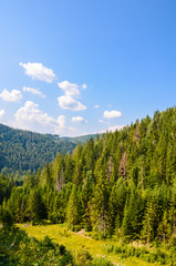 Carpathian Mountains landscape in the autumn season in the sunny day