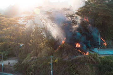 Incendio forestal