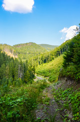 Fototapeta na wymiar Carpathian Mountains landscape in the autumn season in the sunny day