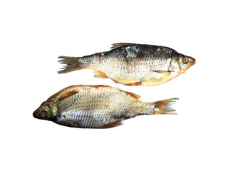 Stockfish isolated on white background. Dried salted fishes, russian beer snack