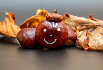 beautiful french chestnut with a smile and a beret