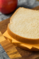 Obraz na płótnie Canvas Homemade American Cheese Sandwich