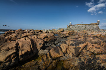 Fort of Saint Francis Xavier