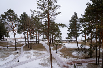Winter scenery. Grey colors of outdoor park
