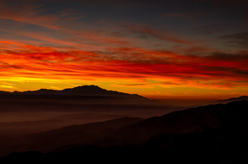 Sunset at Joshua Tree