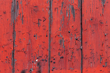 The old red wood texture with natural patterns