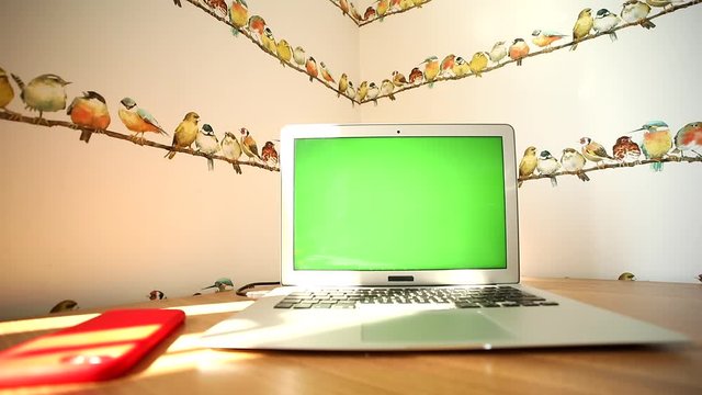 Closeup view of modern white laptop with empty green screen mockup free content. Online business network application. Communication app. Shopping at home. Freelance successful lifestyle. Chromakey.