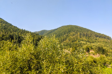 Carpathian Mountains landscape in the autumn season in the sunny day