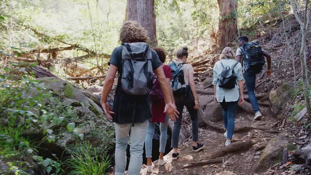 Rear View Of Young Friends Hiking Through Countryside Walking Along Path Together