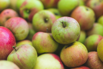 Selective focus and full frame photo of colorful apples freshly picked from orchard