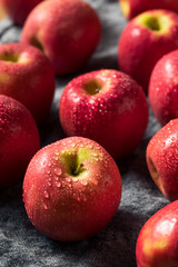 Fototapeta na wymiar Raw Red Organic PInk Lady Apples