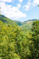 Carpathian Mountains landscape in the autumn season in the sunny day