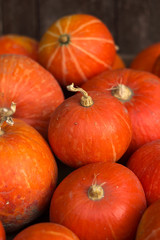 A lot of red ripe pumpkins on a old wooden background close up, holiday halloween. Pile of ripe pumpkins. Harvest autumn wallpaper