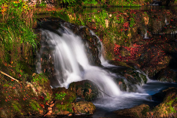 Fototapeta na wymiar Small waterfall in a forest in Krupa na Vrbasu by the Banja Luka in Bosnia and Herzegovina
