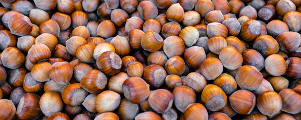 a bunch of hazelnuts with shell