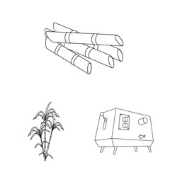 Vector illustration of sugar and field sign. Collection of sugar and plantation vector icon for stock.