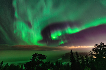 View of brilliant green Aurora shining over Swedish foggy forest landscape in mountains, light rays...